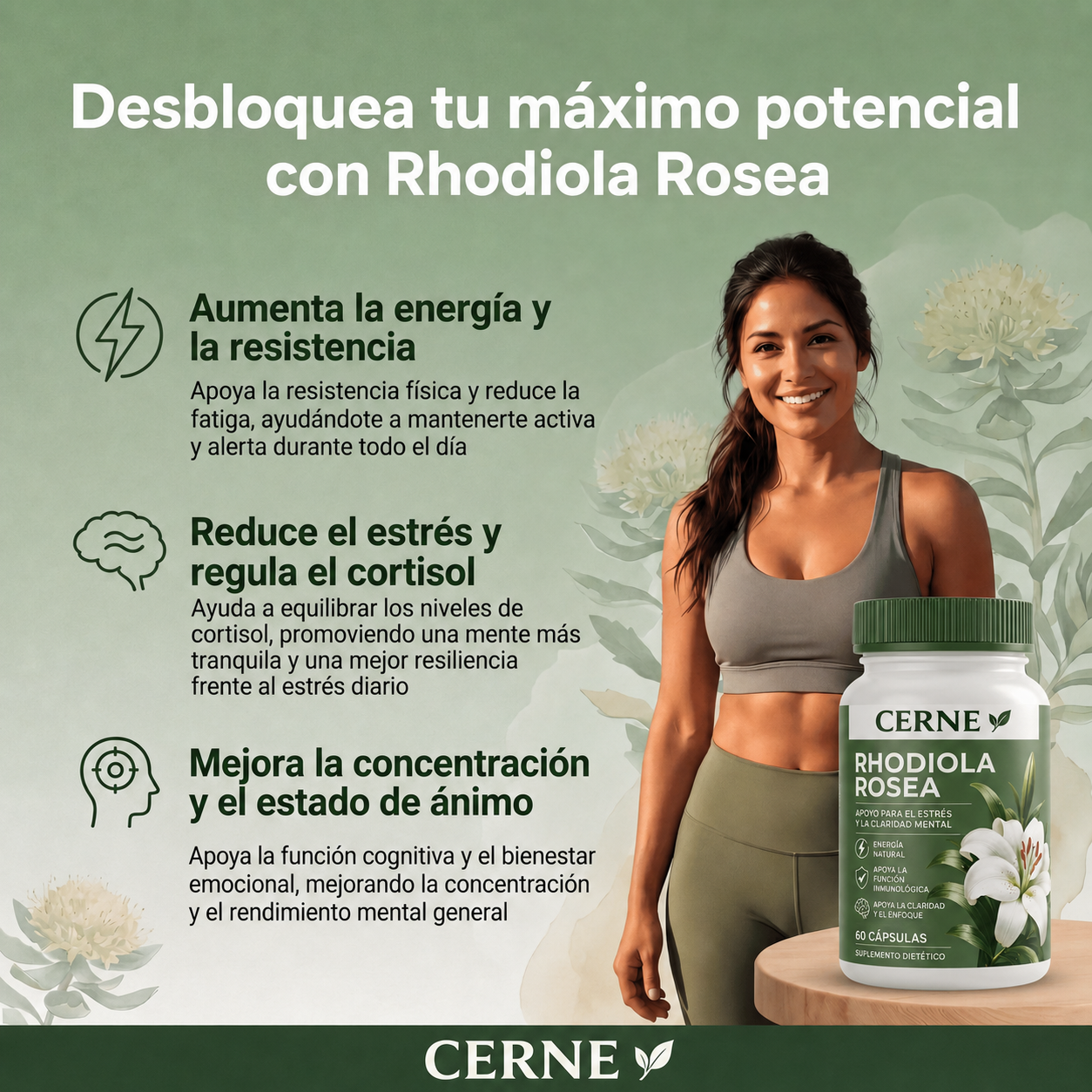 Rhodiola Rosea